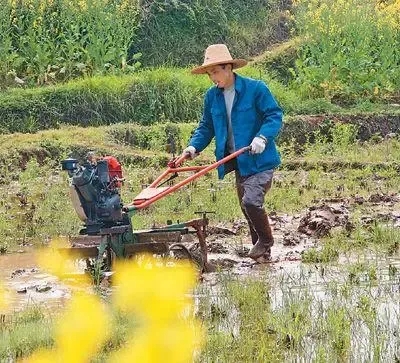 疫情防控的基本常識是什么？（疫情防控和春耕備耕兩不誤）